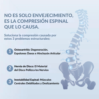 Alinear™ NeuroTech Pro • Sistema de Restauración Espinal