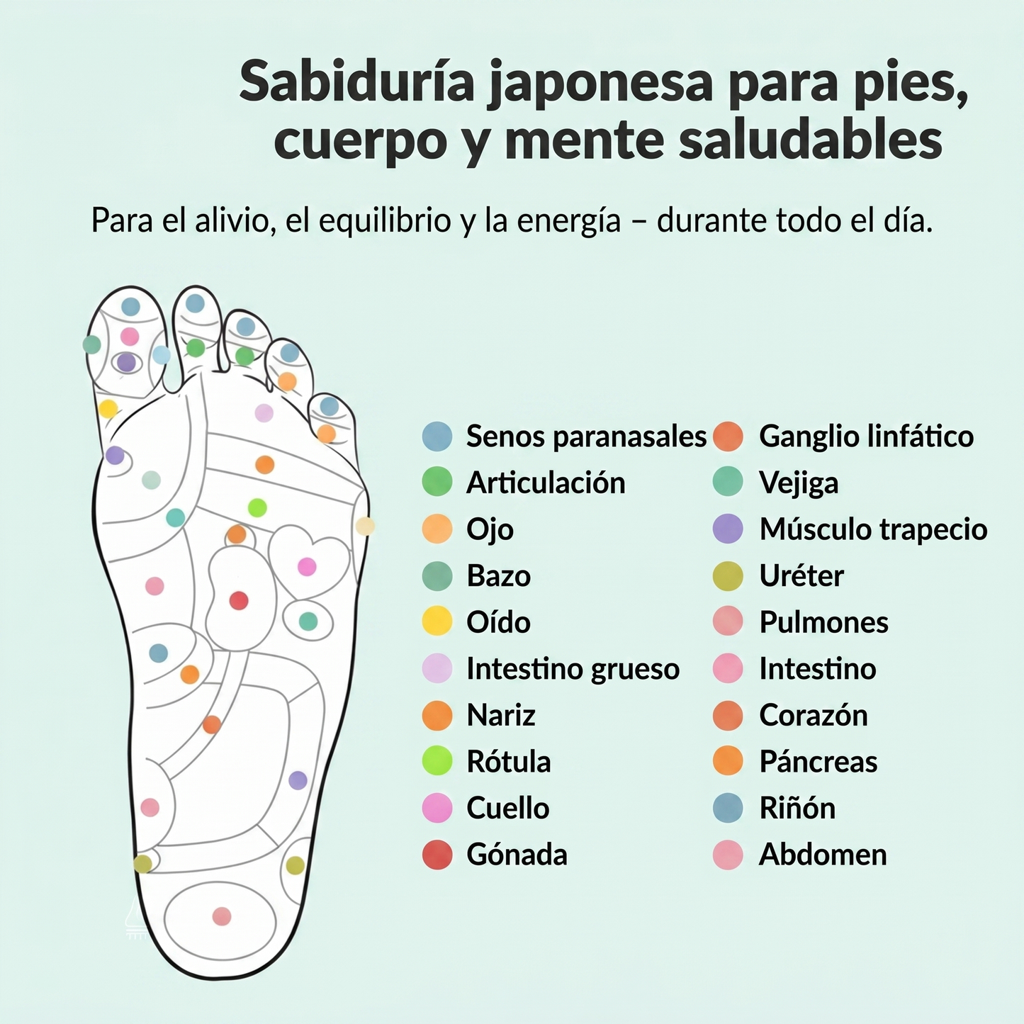 Alinear™ MagneStep • Sistema de Magnetoterapia y Alivio Podal